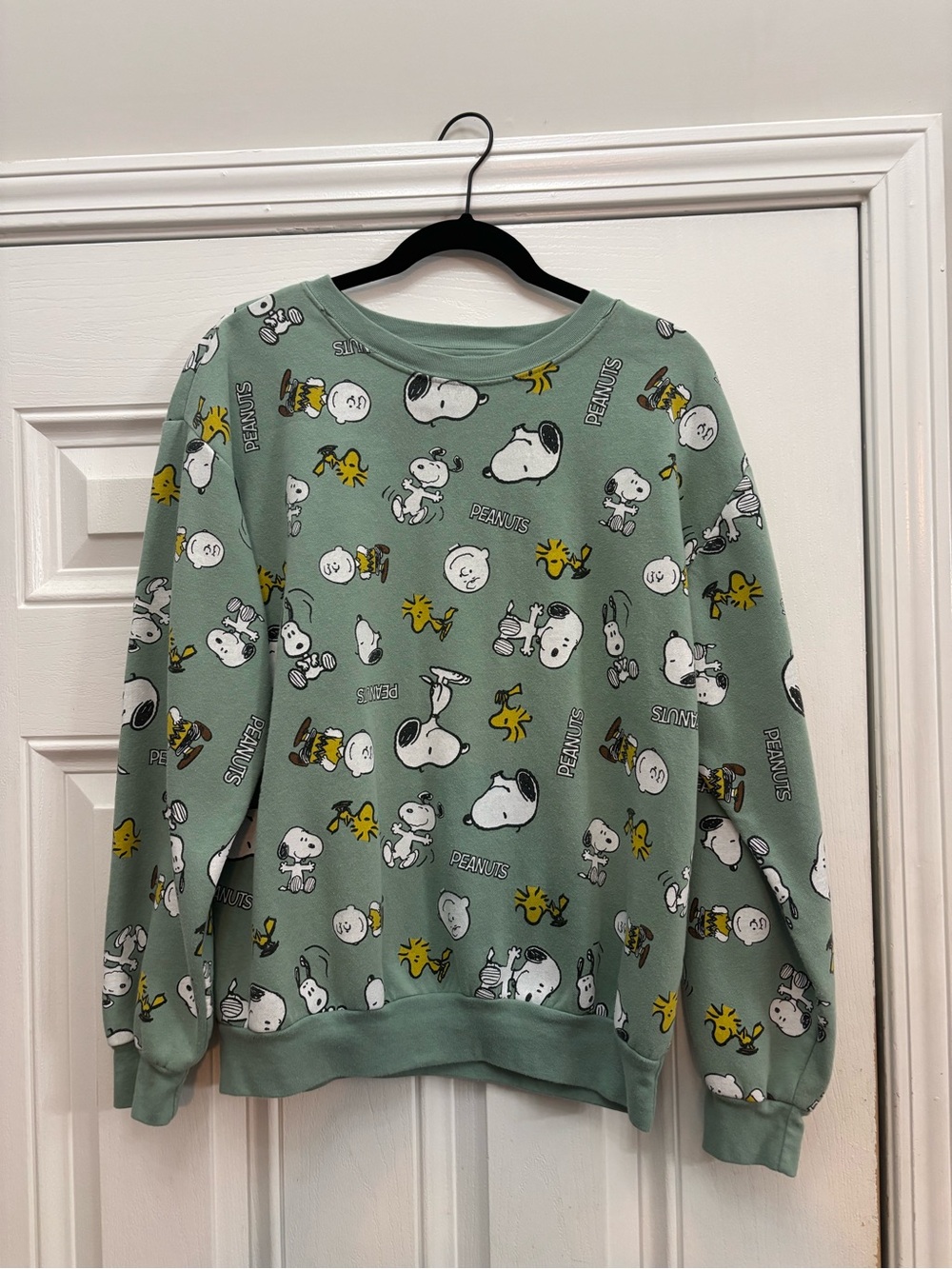 Peanuts Sage Green Snoopy & Woodstock Crewneck Sweater